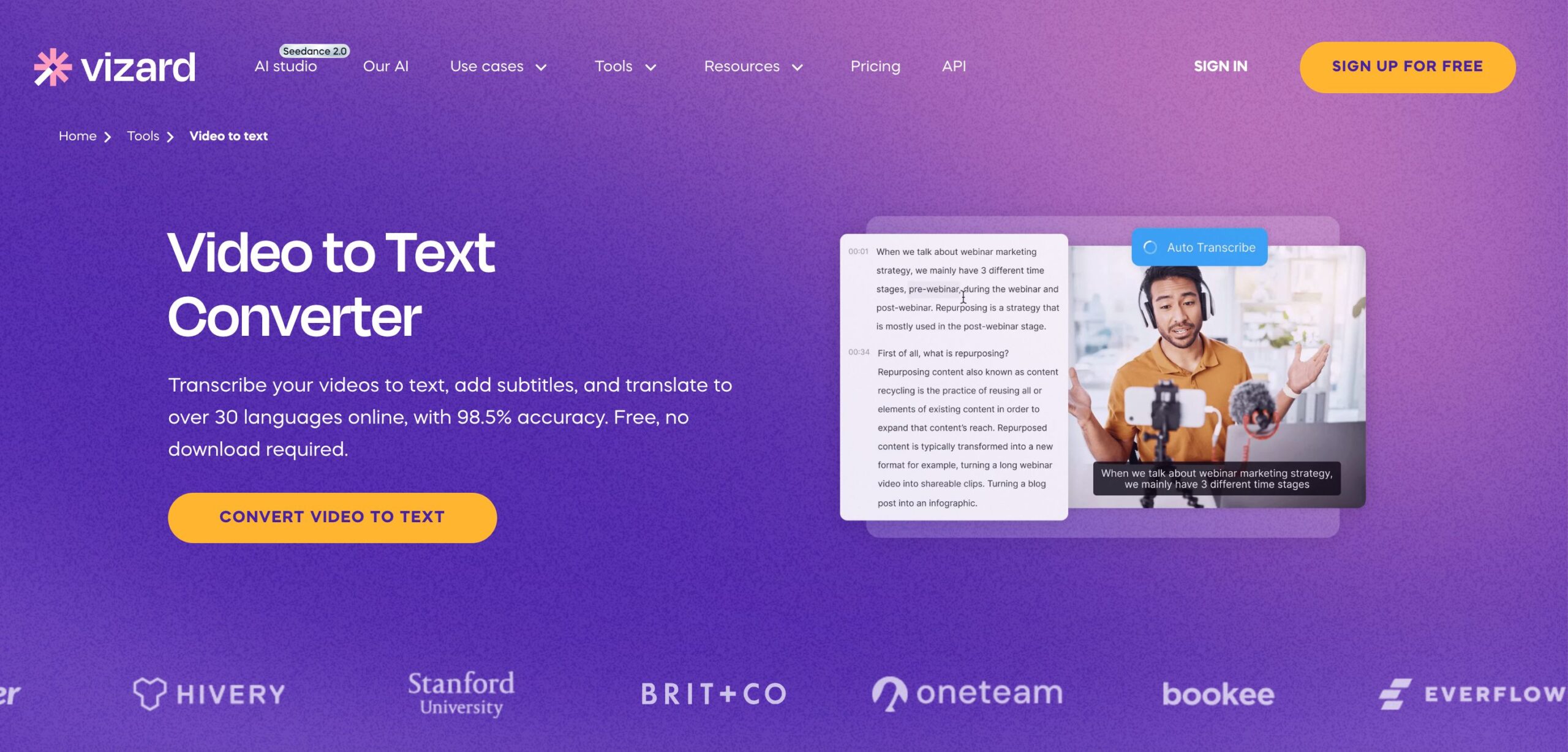 homepage of vizard