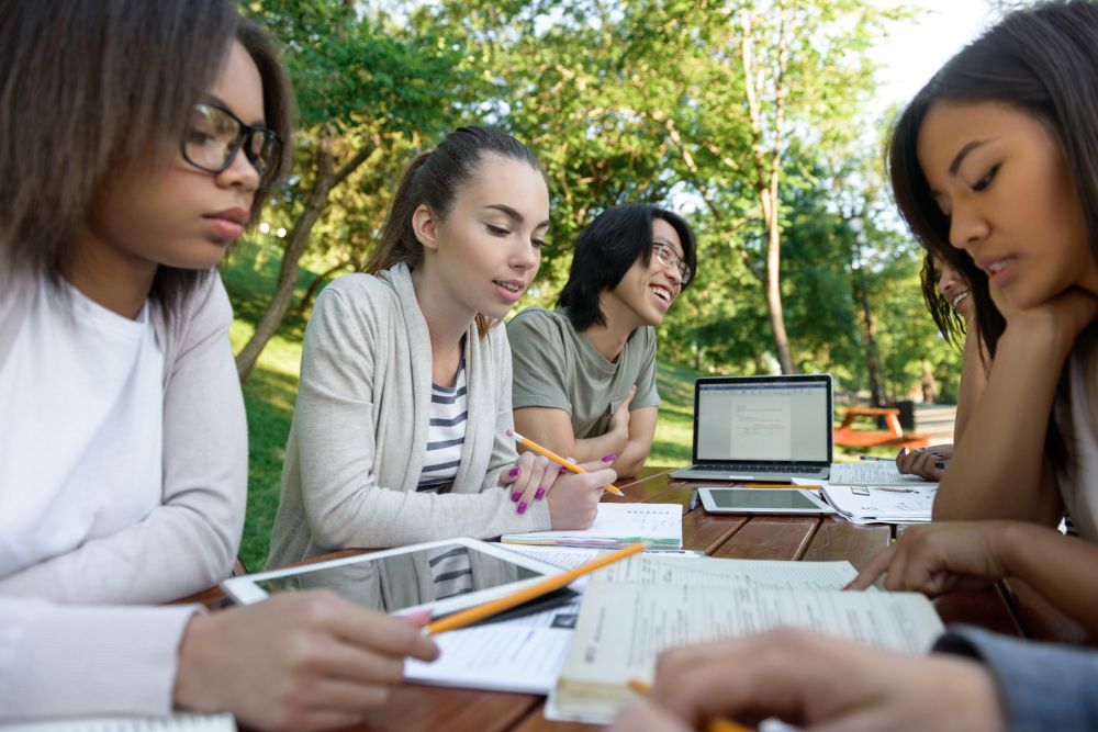 students studying together outdoors